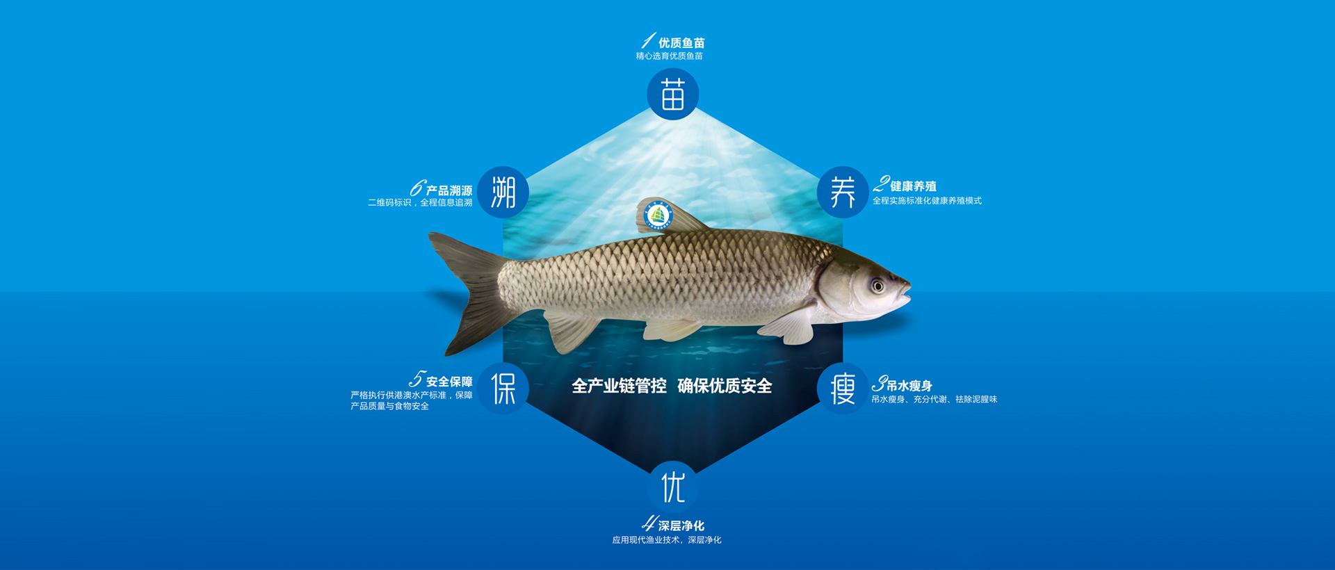 品牌專區(qū)