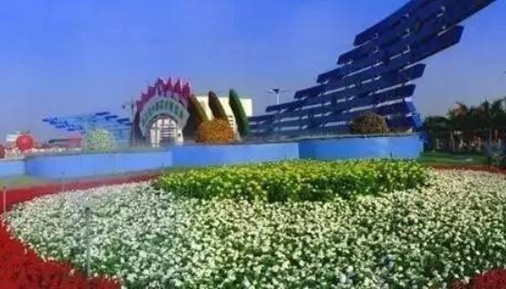 贊！廣東省重點農業龍頭企業名單出爐！順德14家企業入選！
