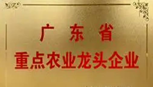 鄉(xiāng)村振興再添力量！66家佛山企業(yè)獲評省重點(diǎn)農(nóng)業(yè)龍頭企業(yè)