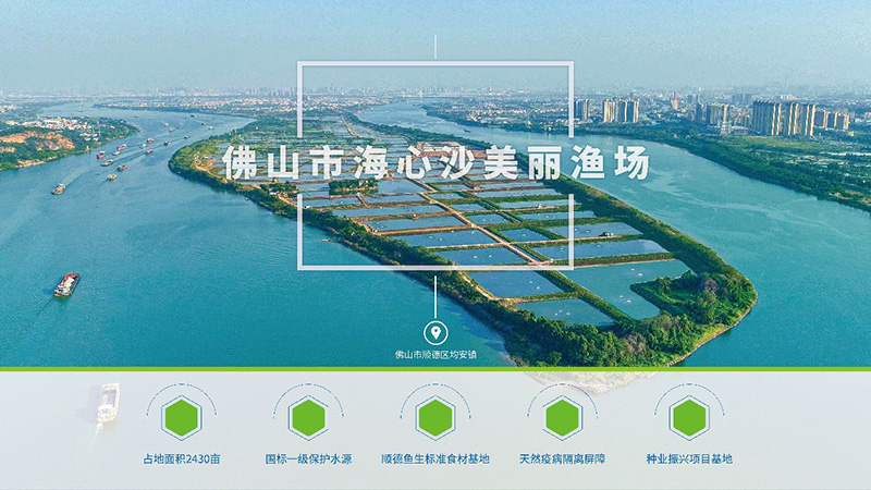 行情低迷，草魚越養(yǎng)越?jīng)]信心？他們竟然養(yǎng)出可以生吃的淡水魚，讓其身價倍增
