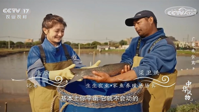 生生農業集團又雙叒亮相央視！CCTV-17《中華風物》介紹生生草魚